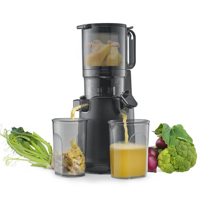 CASO Juice Fit Pro Slow Juicer 250 W 40 U/min