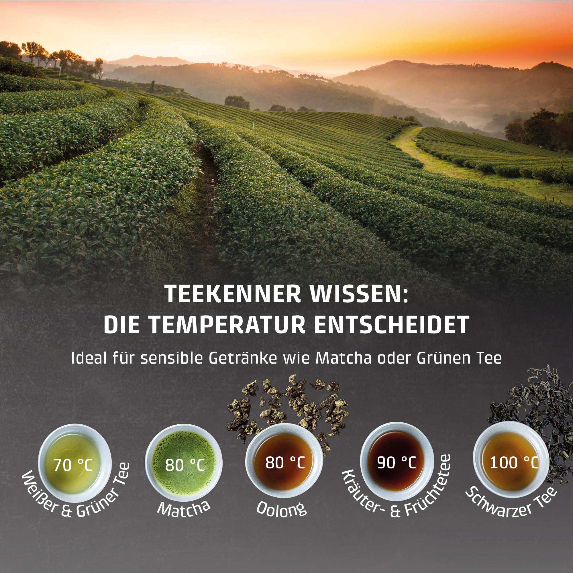 CASO HW 660 Heißwasserspender 2,7 l Schwarz 2600 W