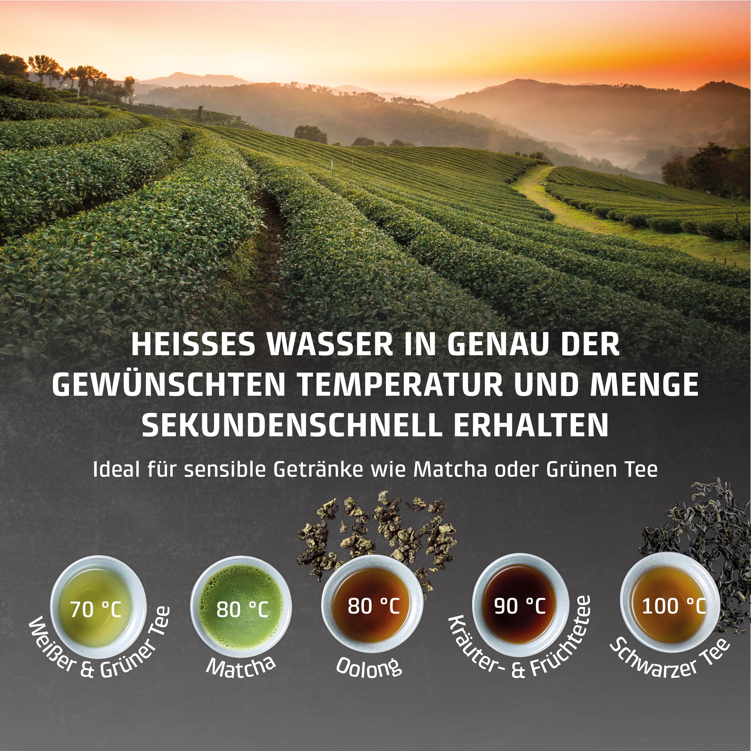 Caso Beverage HW 600 Heißwasserspender 2,7L Edelstahl 2600W