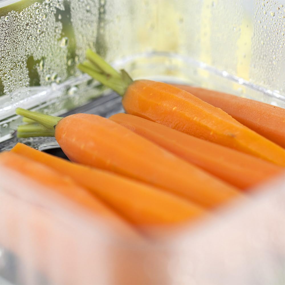 CASO ED 10 Eierkocher mit Dampfgarer für 8 Eier
