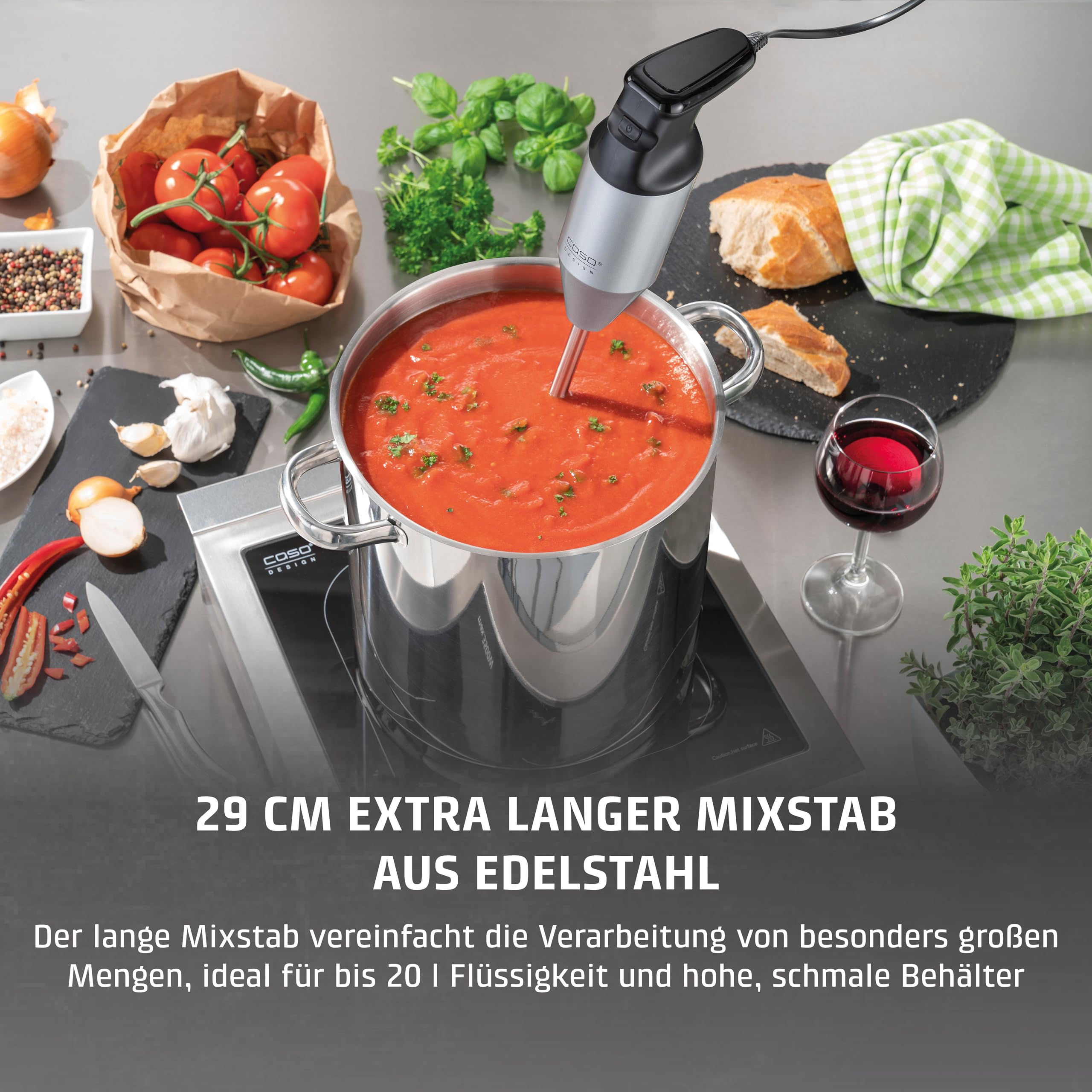 CASO HB 2400 Pro XL Stabmixer Edelstahl 29 cm 350 W