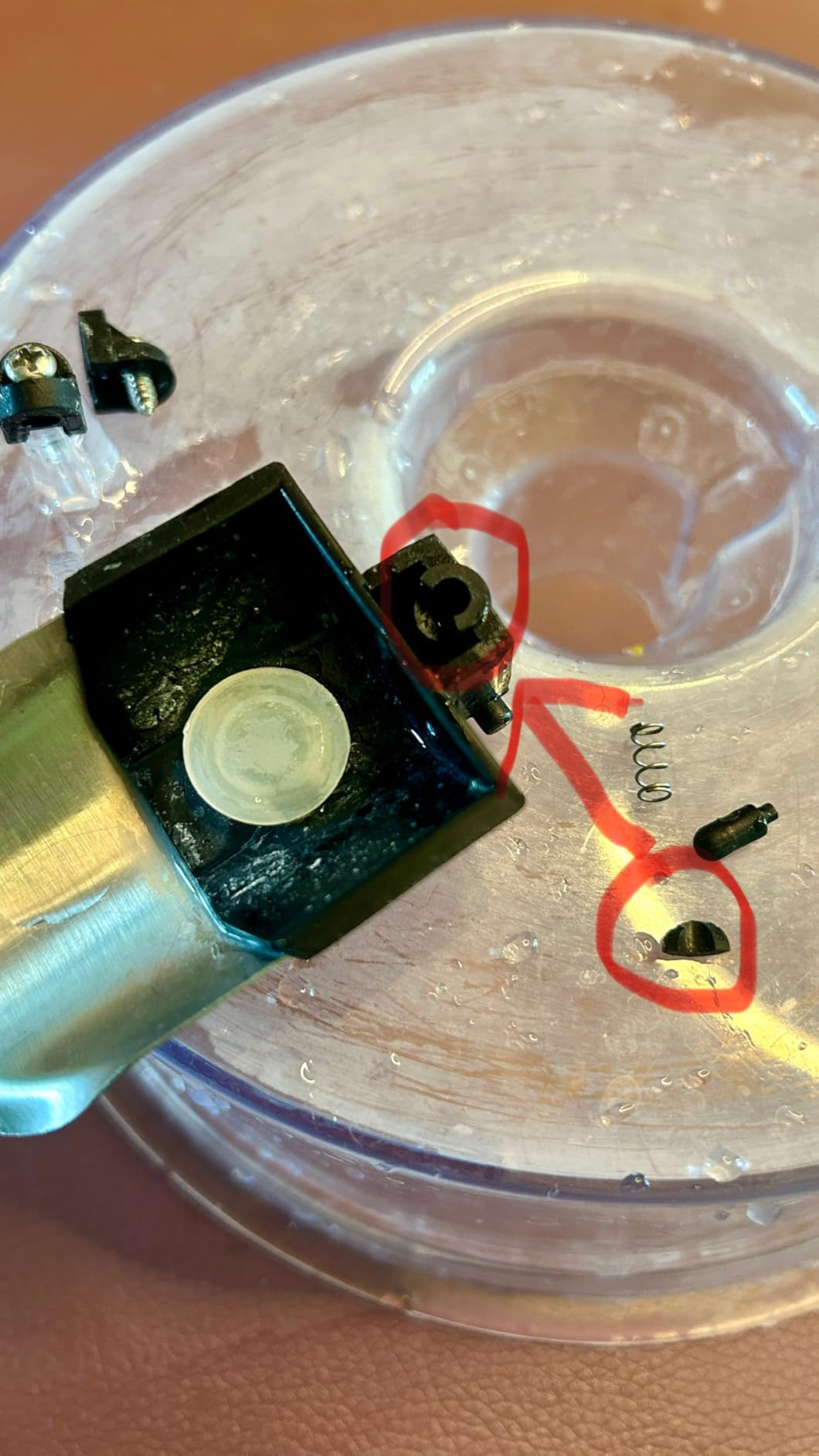 Caso CP 300 Zitruspresse Elektrisch Edelstahl Hebel