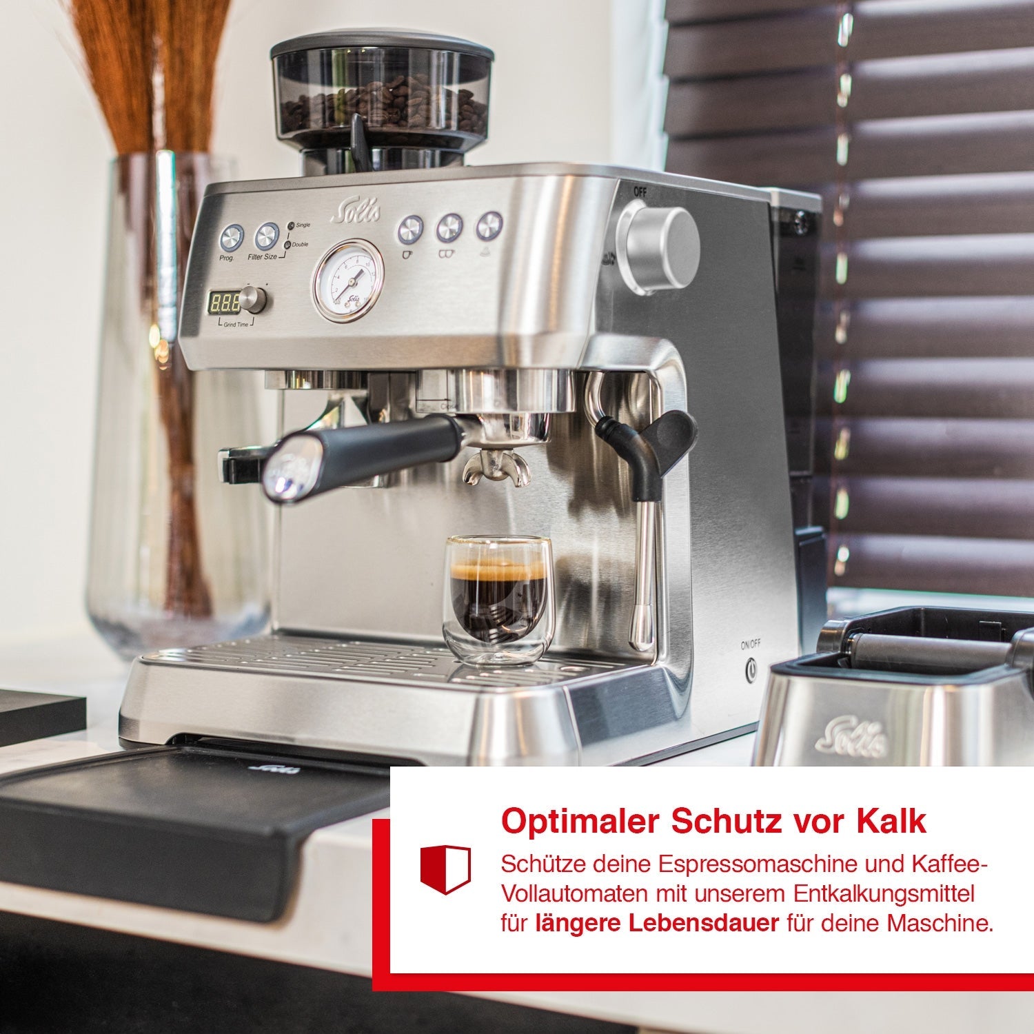 Solis Solipol Special Entkalker flüssig Milchsäure 250 ml